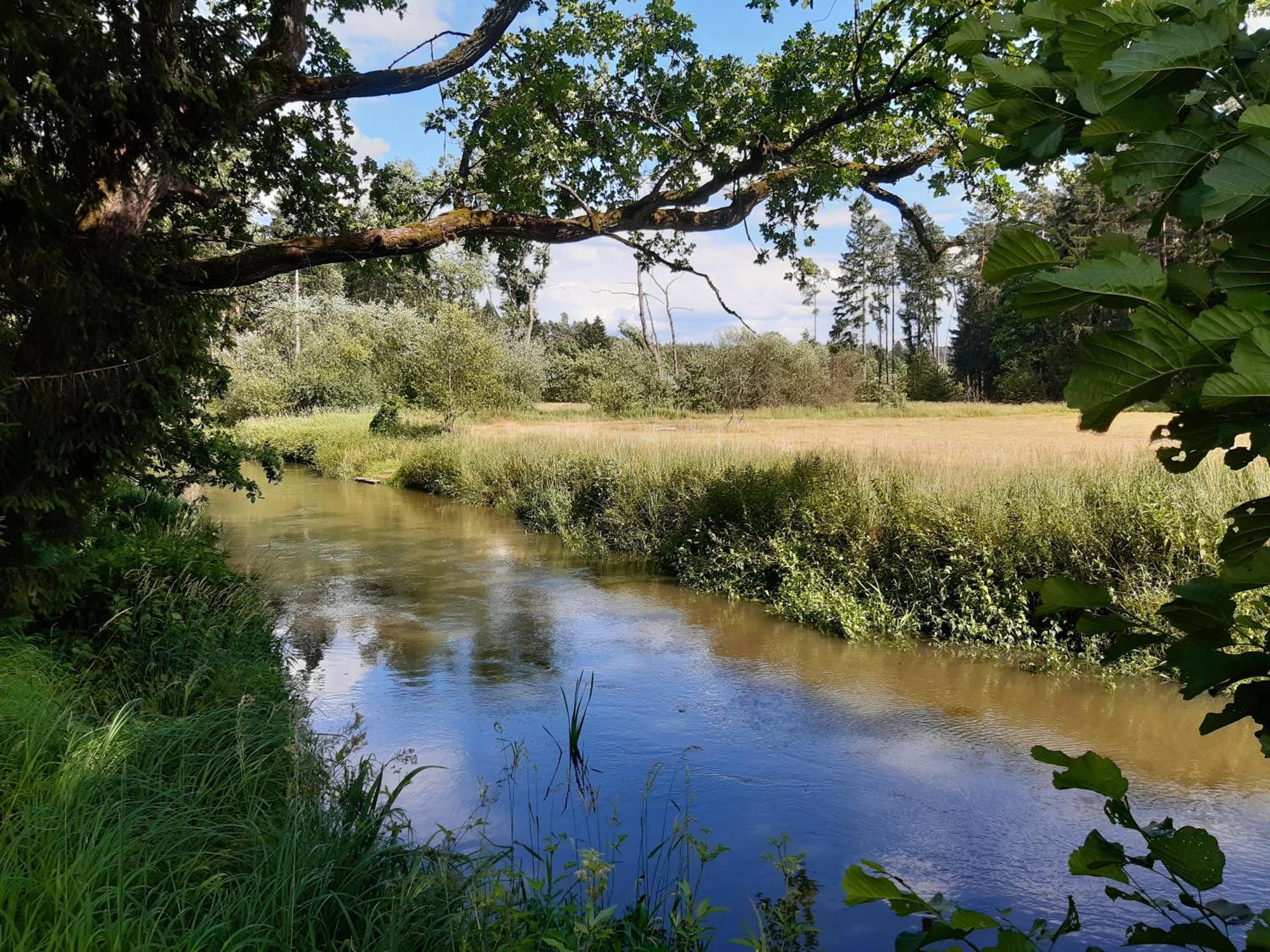 U Lekninu Villa Doksy  Buitenkant foto